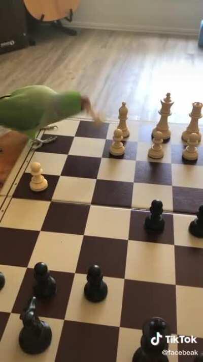 Full cred to facebeak on Tiktok