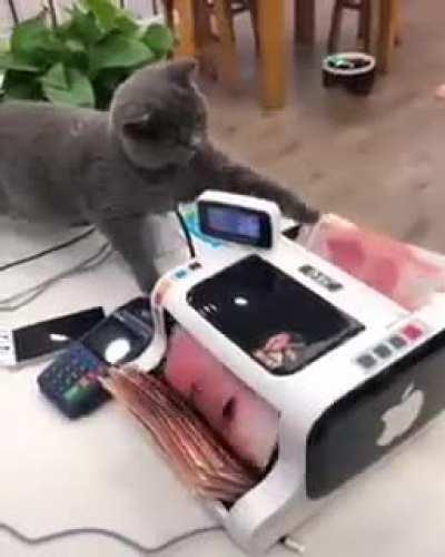 The king’s cat and the high priest came up and tied it in bags and counted the money