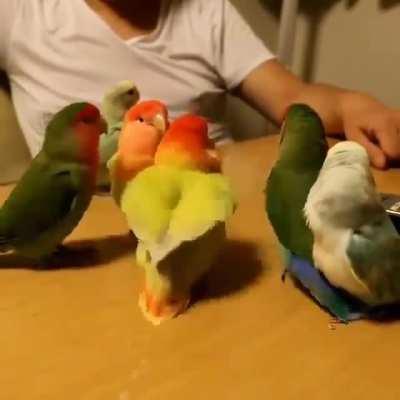 These cuties are having a debate about when bedtime is