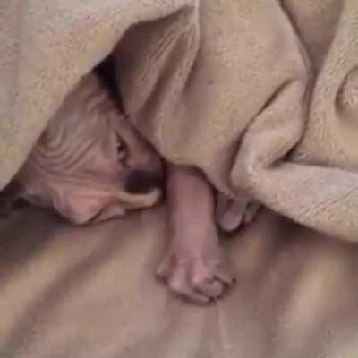 Come here my precious