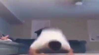 Peace, hope and determination for a brighter future.