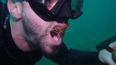 The dentist are a little different in Maui Hawaii