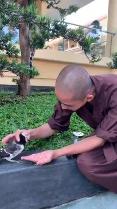 Monk feeding and being kind to a bird.