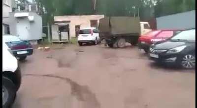 the dog is fine don't worry