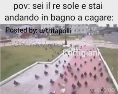 IL RE STA CAGANDO