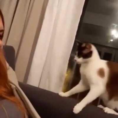 Failed basic training