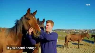 The further you watch it,the better it gets XD *booking my flight to fucking right now*