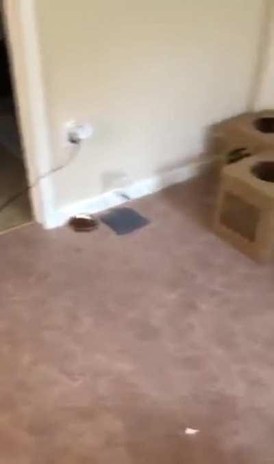 he is a lil special..