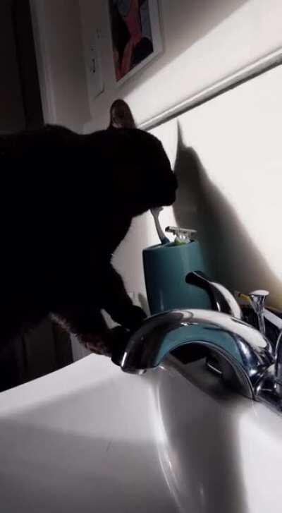 I witnessed THIS this morning and I have no doubt it's been going on without me noticing.