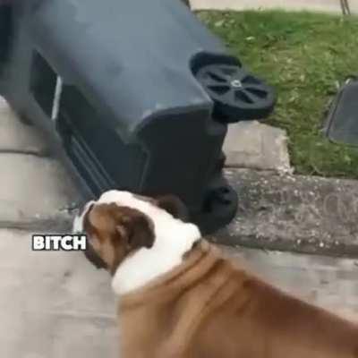 Bitch ass trash can.