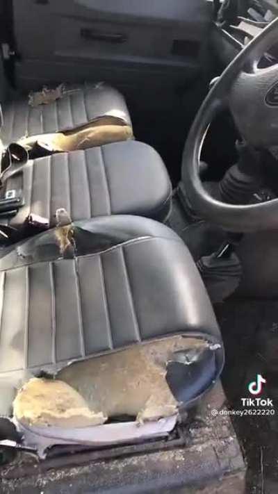 Anyone looking for a new yoke?