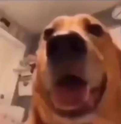 I found this on my cell phone 