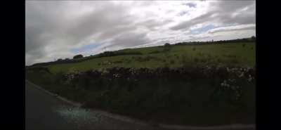 Calmest car crash ever