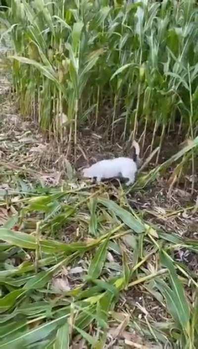 How can you convince the court that these is an act of God