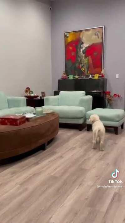 little mario found a 1-UP