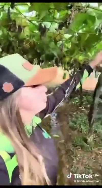 Loss ou gain para o trabalhador brasileiro?