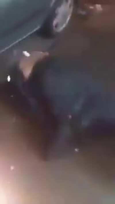 Чудо чудное, диво дивное!