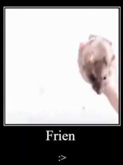 Fren :>