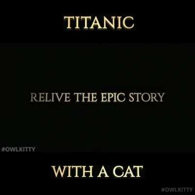 Titanic cat
