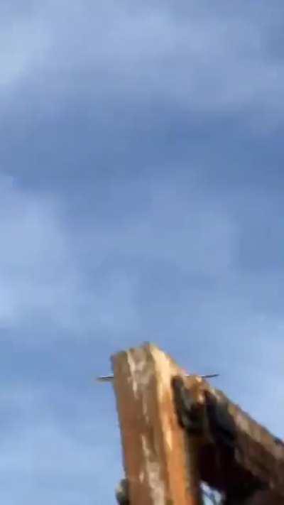 🔥 This pigeon descending.