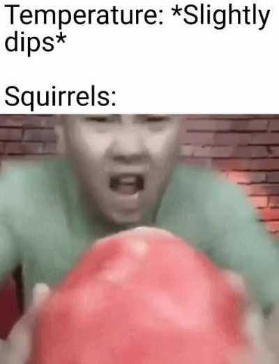 Getting ready for hibernation