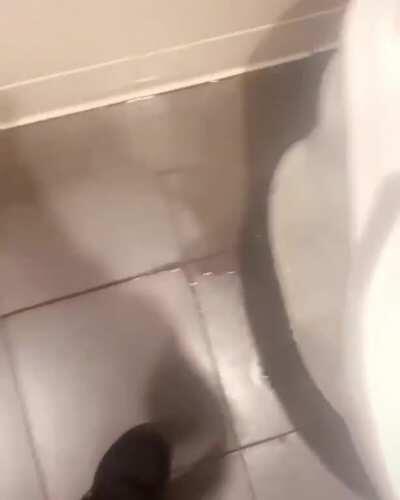 HTDYL after going into my school bathroom