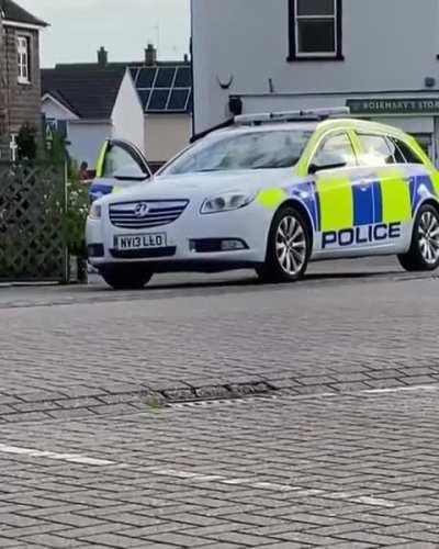 Best footage yet of Emma's ordeal last week. Perhaps if we all wrote a letter on her behalf, they would release her on bail to continue filming? 😙