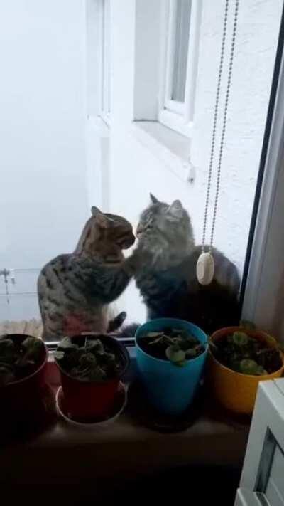 My favorite place in the world is with you...