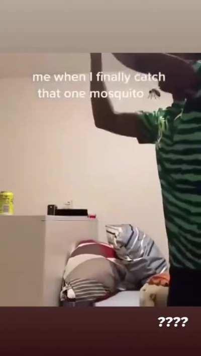 Blursed_Catchin_Mosquito