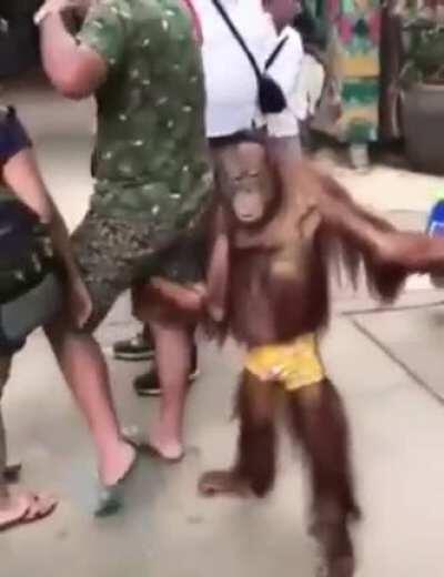 Nuevo video del froterista Morenaco Monreal, se ve claro la agarrada de nalgas