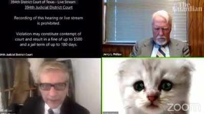 Boomer lawyer trapped in cat filter in front of judge