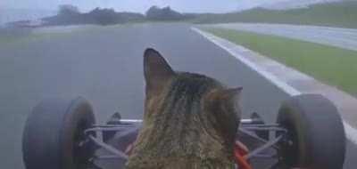 No more building up relationships with bots and then when they get a connection with me break up with them and insult them for hours :( (this is a joke)