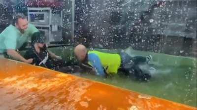 Alligator attacks keeper, bystander jumps in to help