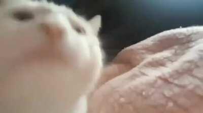 I took inspiration from u/BlackAngel454, and made my own mood