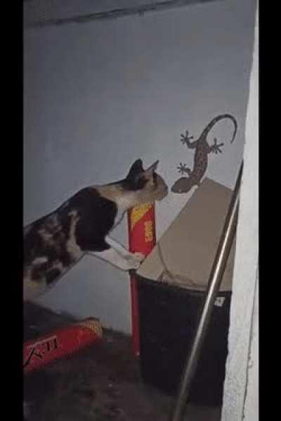 Speedlight running away