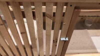 Just finished the bunnies new HOME! Took about 2 weeks of spare time. They seem to both love it. The shelf on the top is their favorite.