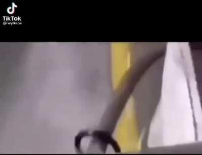 Perro auto 🥵🥵🥵🥵