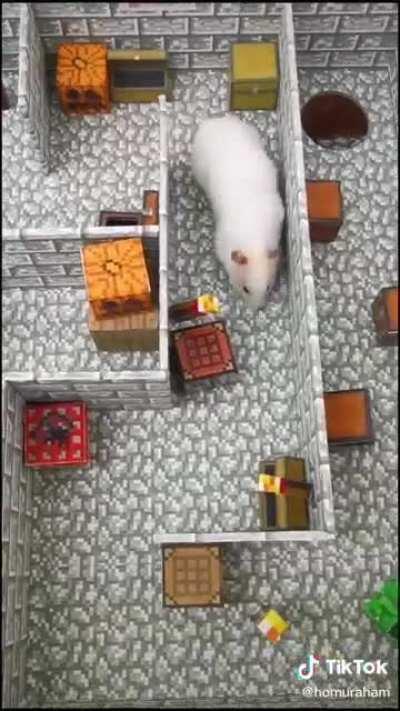 El mejor video de la historia