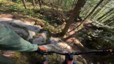 Wrong turn on a mountain bike ð´