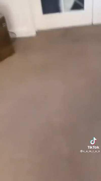 Dont think its a repost