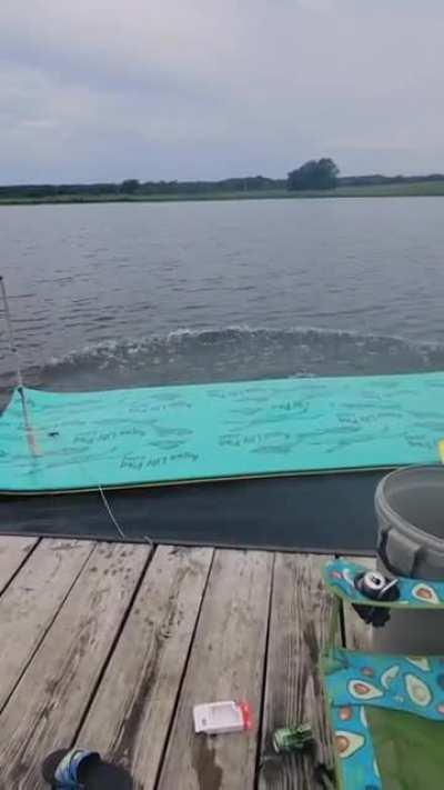 Jumping into the water so fast