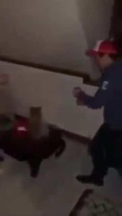 Друзья они такие