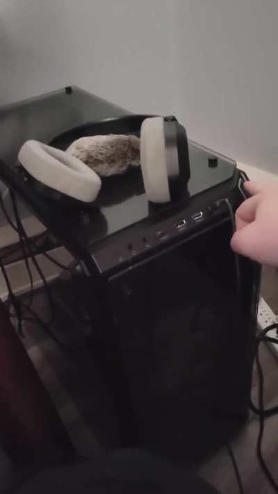 RGB lights stopped working