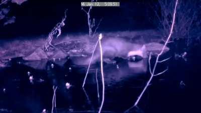 Martens see the greebles too, I guess