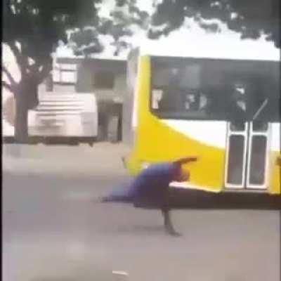 YESSS 🕷🕷🕷 SPIDERMAN 🕷🕷🕷🕷 has left SHITTY 🤢🤢🤢 🤮🤮🤮 wes*oid city NYC to come to 🚩🚩🚩AKHAND BHARAT 🚩🚩🚩 !!!! JAI HIND 💪🏾💪🏾💪🏾 🇮🇳🇮🇳🇮🇳🇮🇳🇮🇳🇮🇳🇮🇳🇮🇳🇮🇳🇮🇳