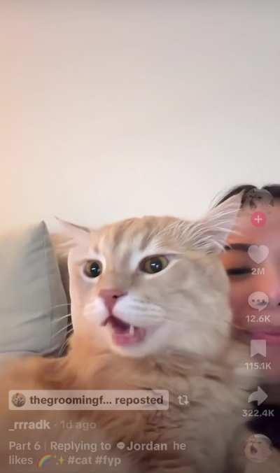 Gal & Cat Sing A Duet Of Somewhere Over the Rainbow 🥹😍