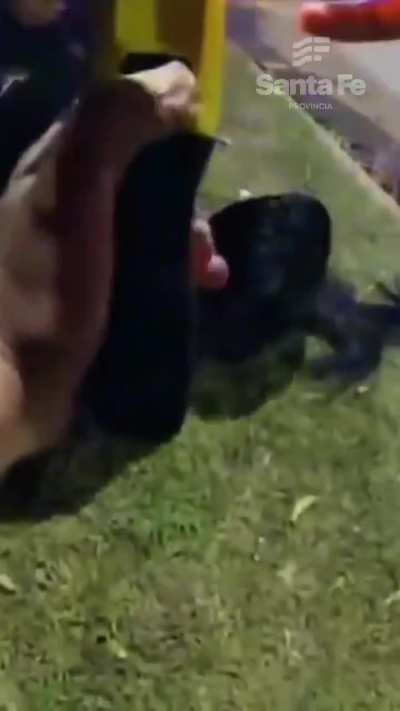 Rosario: una suboficial usó la pistola Taser por primera vez para reducir a una agresora