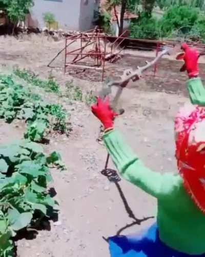 scarecrow level999...