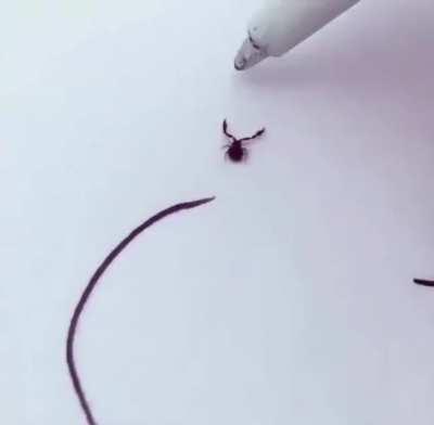 Ne diyeceğimi bilmiyorum.