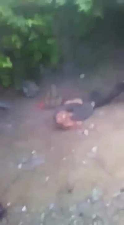 Mexican cartel executes rival member